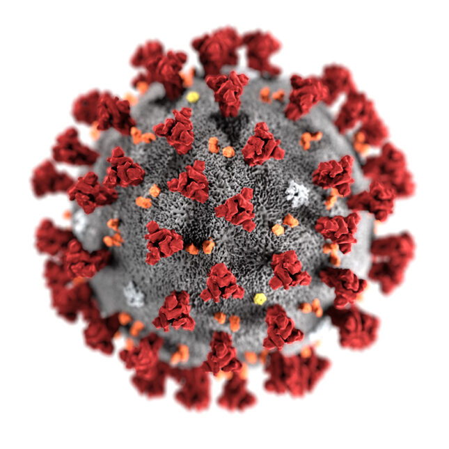 Coronavirus illustration with red spike proteins.